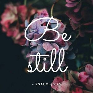 Meet your Posher, Dee